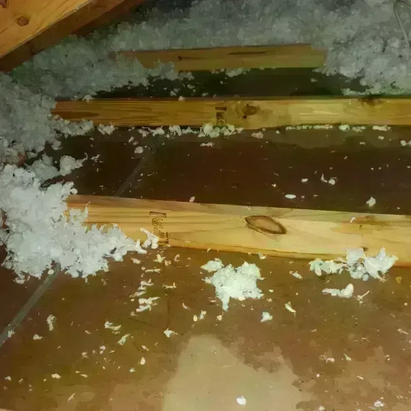 Attic Water Damage in Tiffin, OH