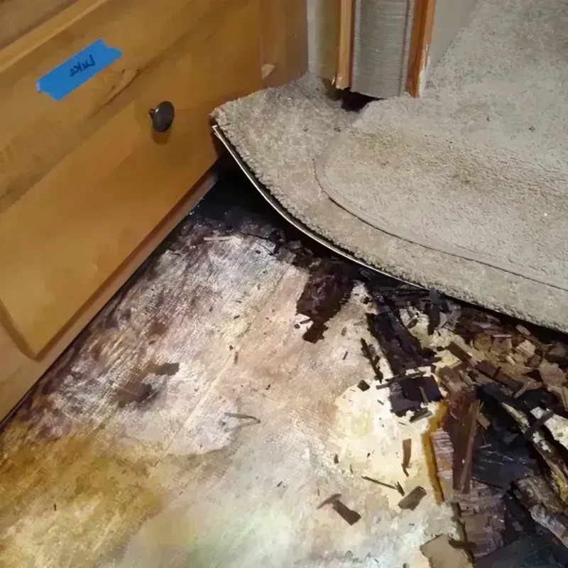 Best Wood Floor Water Damage Service in Tiffin, OH